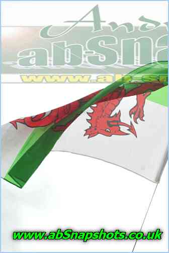 P1407 A1698